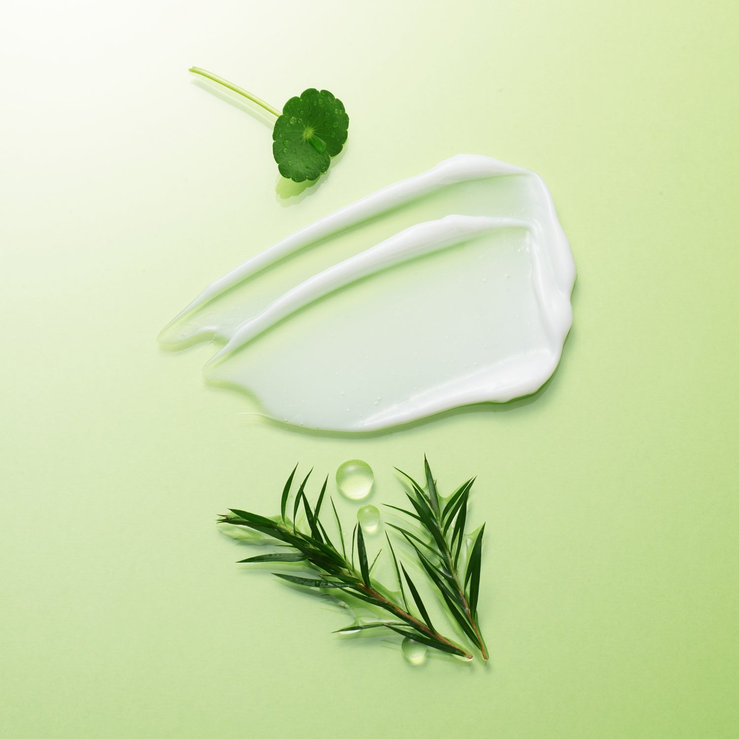 Green Derma Tea Tree Cica Soothing Cream